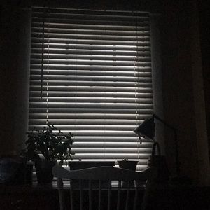 Meet your Posher, Ellen